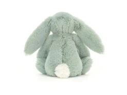 JELLYCAT BL6SG - Peluche Blossom Sage Bunny Small - L: 8 Cm X L : 9 Cm X H: 18 Cm 7 JELLYCAT BL6SG - Peluche Blossom Sage Bunny Small - L: 8 Cm X L : 9 Cm X H: 18 Cm -Touslesprix jellycat bl6sg 2